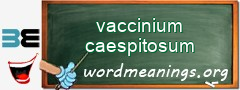 WordMeaning blackboard for vaccinium caespitosum